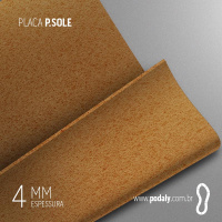 PLACA PSOLE4MM MARROM 440X220MM